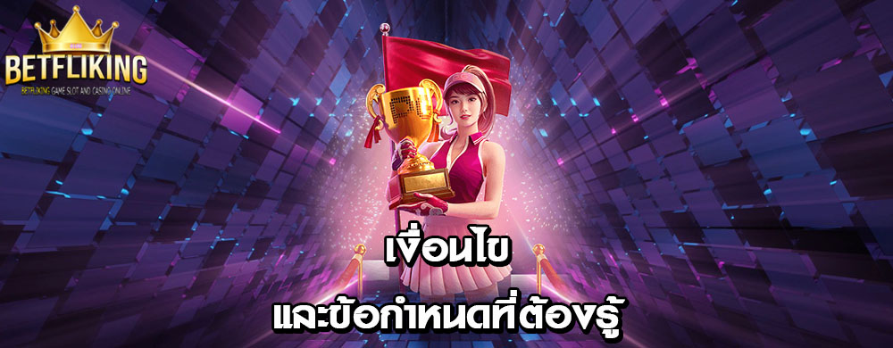 เงื่อนไขและข้อกำหนดที่ต้องรู้